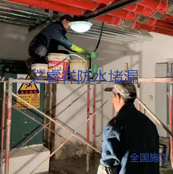 微信圖片_20211202100943.jpg