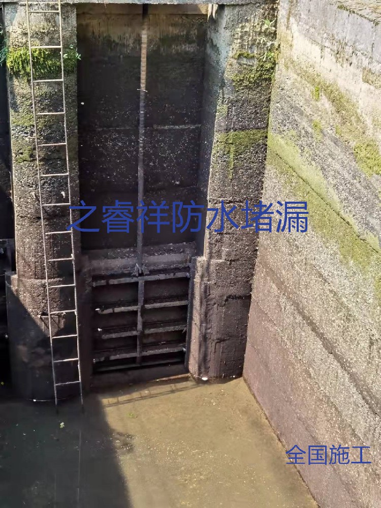水電站閘門維修堵漏