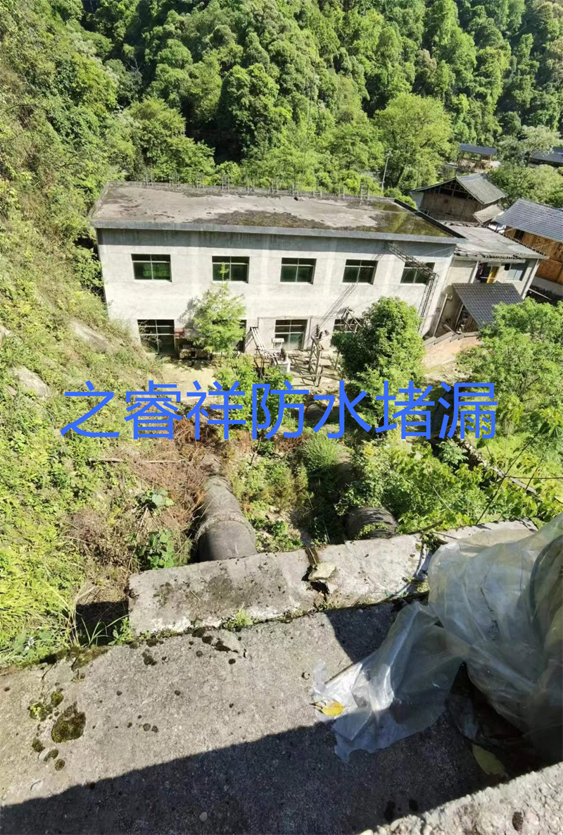 水電站蓄水池堵漏7.jpg